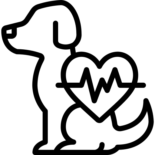 건강 아이콘
