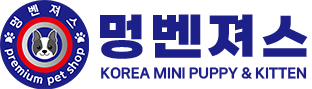 멍벤져스 인천점